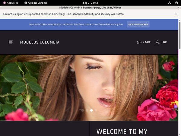Andycase.modelcentro.com With Mastercard Andycase.modelcentro.com With Mastercard