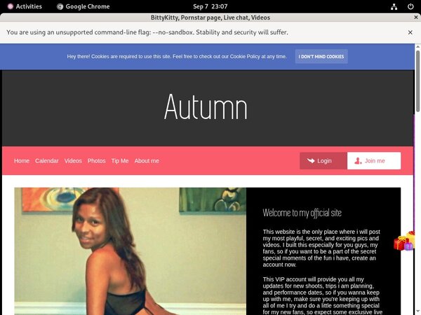 BittyKitty Free Trial Tour BittyKitty Free Trial Tour