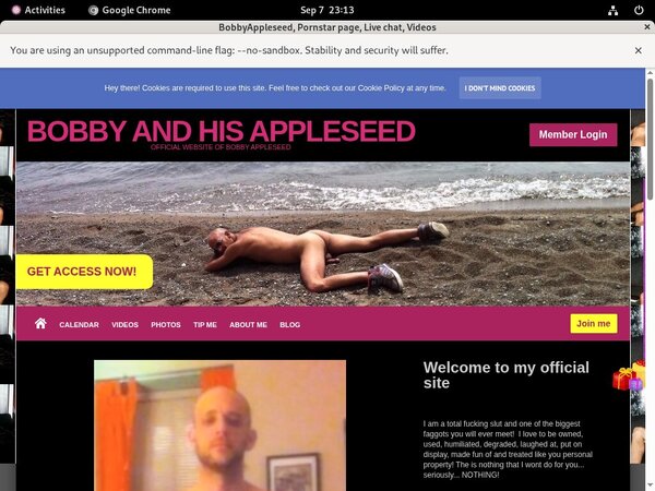 Bobbyappleseed.modelcentro.com Passwords Bobbyappleseed.modelcentro.com Passwords