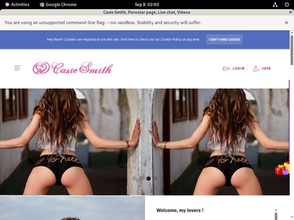 Casiesmith.modelcentro.com Free Com