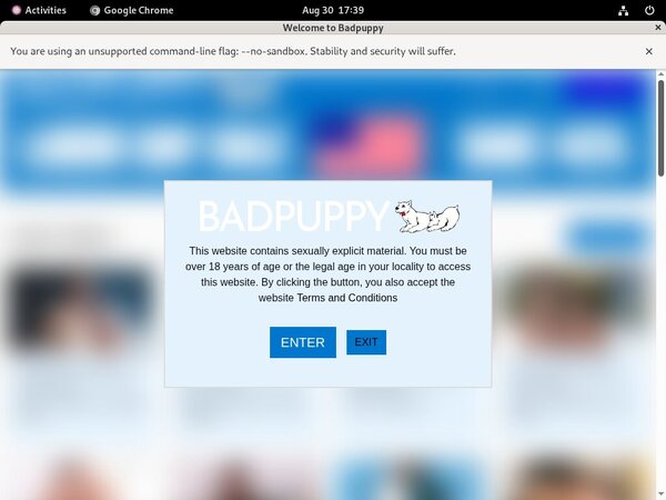 Discount Badpuppy Promotion