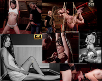 Discount Membership Subspaceland s3 Discount Membership Subspaceland s3
