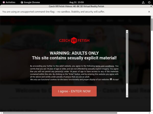 Fetish VR Czech Access Fetish VR Czech Access