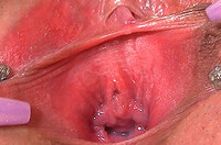 Free Gape My Pussy Account And Password s1 Free Gape My Pussy Account And Password s1