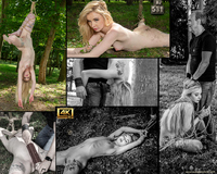 Full Free Subspace Land s1