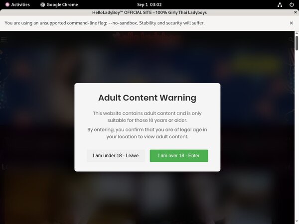 Hello Ladyboy Movies