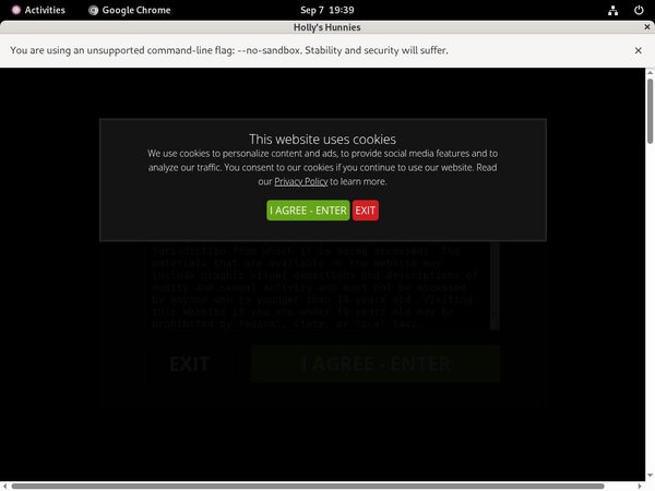 Hollyshunnies.com Without Paying