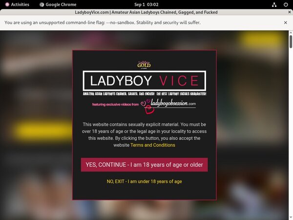 Ladyboy Vice Pricing Ladyboy Vice Pricing