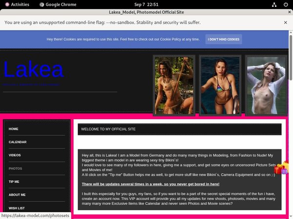 Lakea_Model Stolen Password