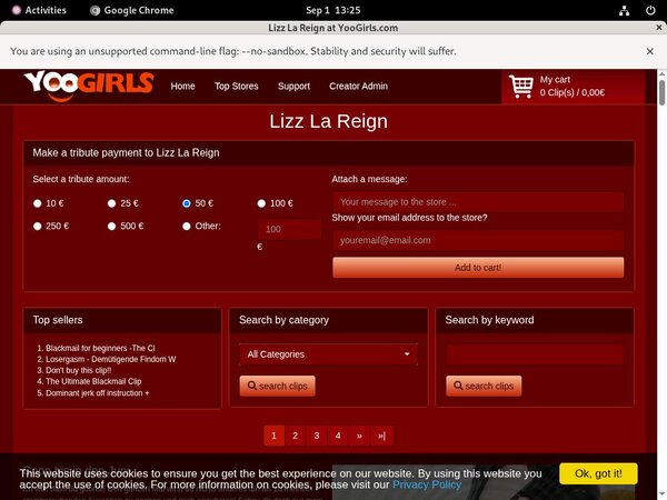 Lizz La Reign Paypal Account