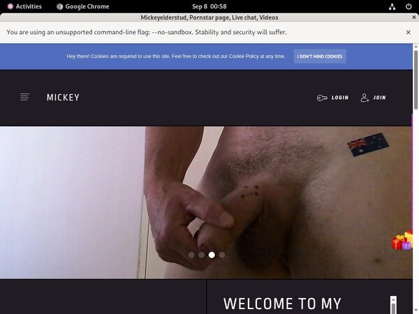 Mickeyelderstud Pass Free Mickeyelderstud Pass Free