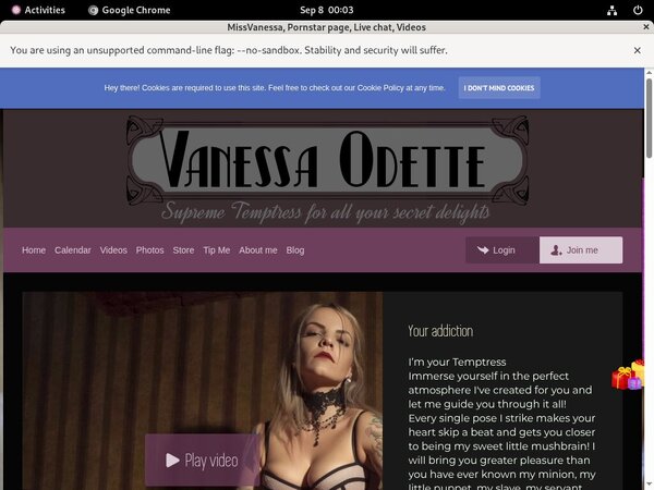 MissVanessa Check Out