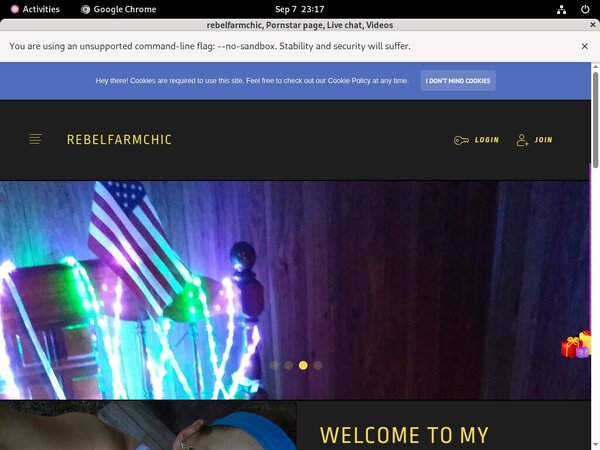 Password For Rebelfarmchic.modelcentro.com