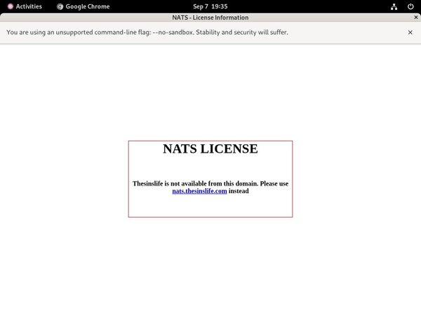 Passwords Thesinslife.com