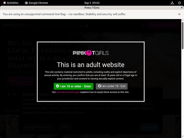 PinkO TGirls Bdsm PinkO TGirls Bdsm