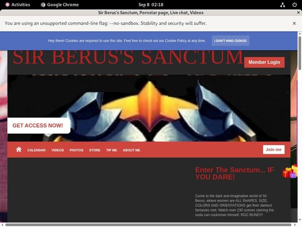 Sanctum Berus's Sir Discount Trial Sanctum Berus's Sir Discount Trial