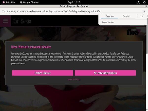 Sari Sander Free Join