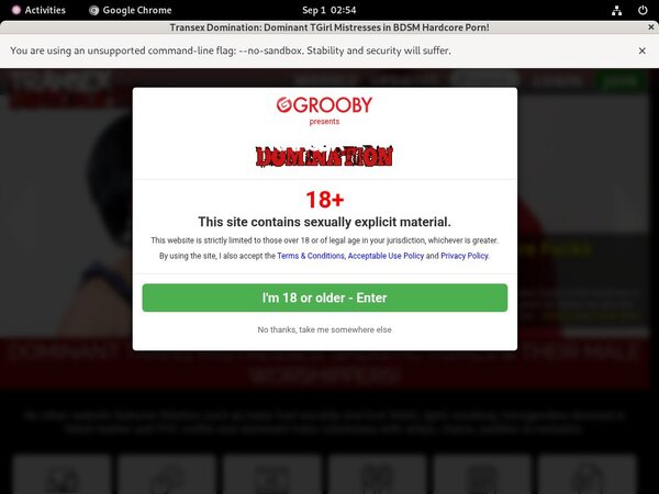 Transexdomination.com Passwords 2018 Transexdomination.com Passwords 2018