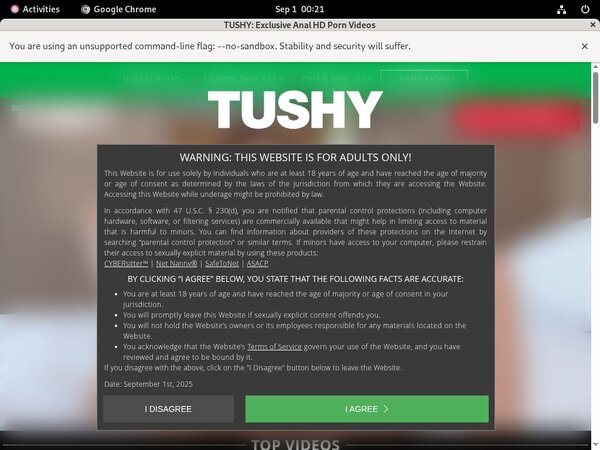 Tushy Porn Dvd