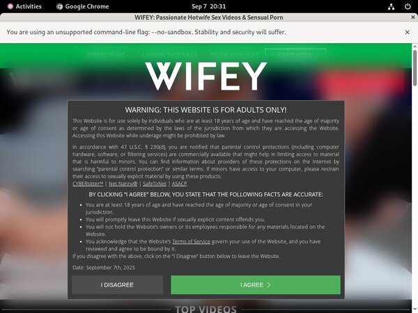 Wifey Webcams Wifey Webcams