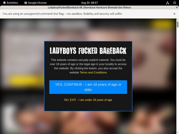 Ladyboysfuckedbareback Discount Trials