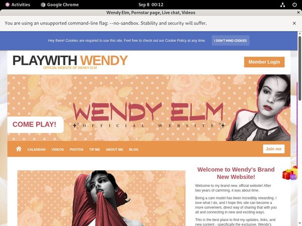 Free Playwithwendy.modelcentro.com Passwords