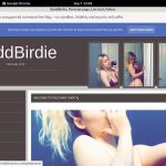 Baddbirdie.modelcentro.com Discount Order Baddbirdie.modelcentro.com Discount Order