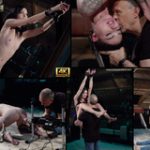 Subspaceland New Porn Subspaceland New Porn