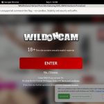 Wildoncam Foto Wildoncam Foto